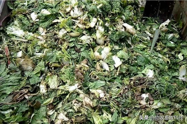果蔬廢棄物垃圾怎樣進(jìn)行科學(xué)資源化無(wú)害化減量化處理？